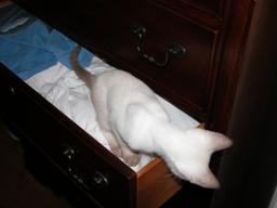 tara & emma in drawer 3